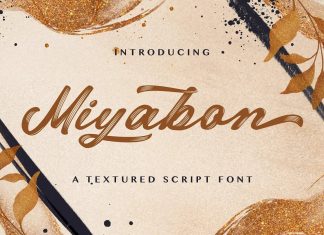 Miyabon Brush Font