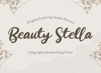 Beauty Stella Script Font