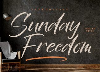 Sunday Freedom Script Font