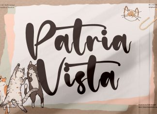 Patria Vista Script Font