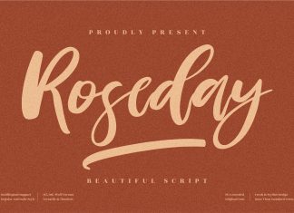 Roseday Script Font