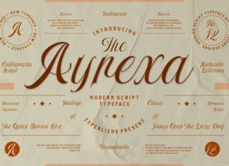 Ayrexa Script Font