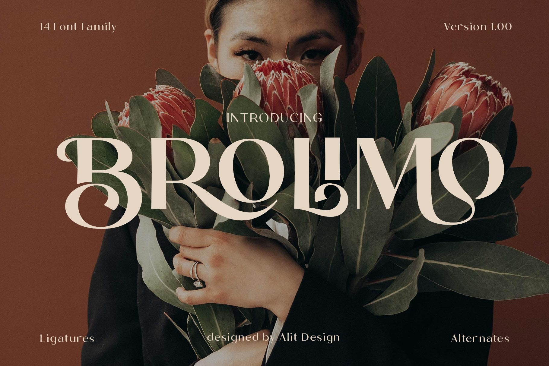 Brolian Stylish Display Font – Free Design Resources