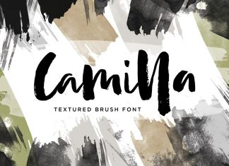 Camilla Brush Font