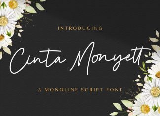 Cinta Monyett Handwritten Font