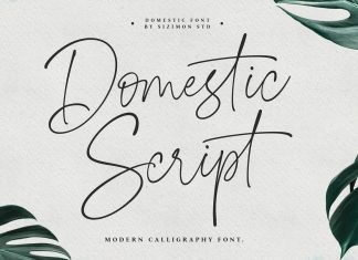 Domestic Script Font