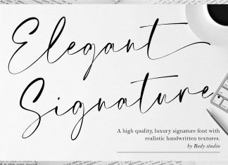 Elegant Signature Script Font