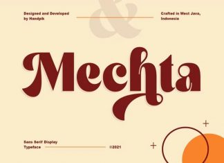 Mechta Serif Font