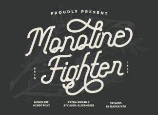 Monoline Fighter Script Font