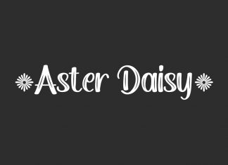 Aster Daisy Brush Font