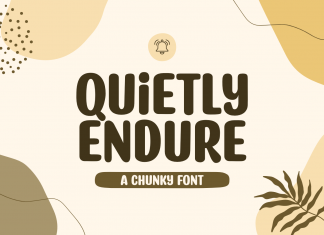 Quietly Endure Display Font
