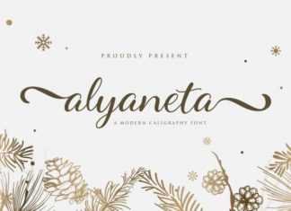 Alyaneta Calligraphy Font