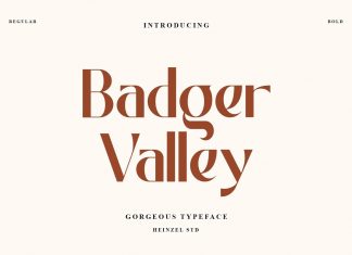 Badger Valley Sans Serif Font