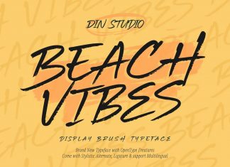 Beach Vibes Brush Font