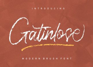 Gatinlose Brush Font