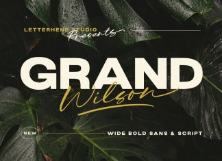 Grand Wilson Sans Serif Font