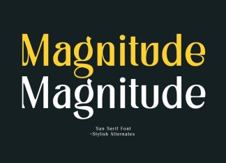 Magnitude Sans Serif Font