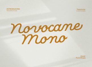 Novocane Mono Script Font