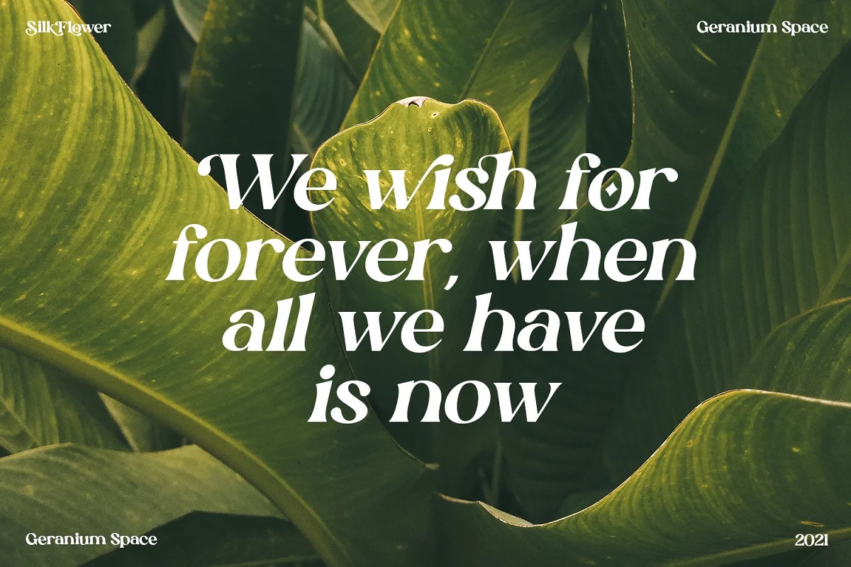 Silk Flower Font Download Free Font