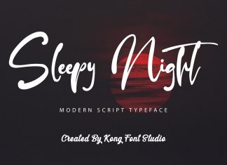 Sleepy Night Script Font