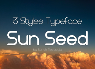 Sun Seed Sans Serif Font