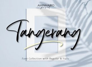 Tangerang Handwritten Font