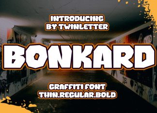 Bonkard Display Font