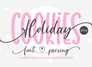 Holiday Cookies Script Font