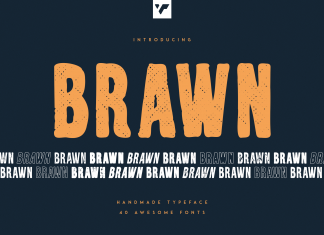 Brawn Display Font