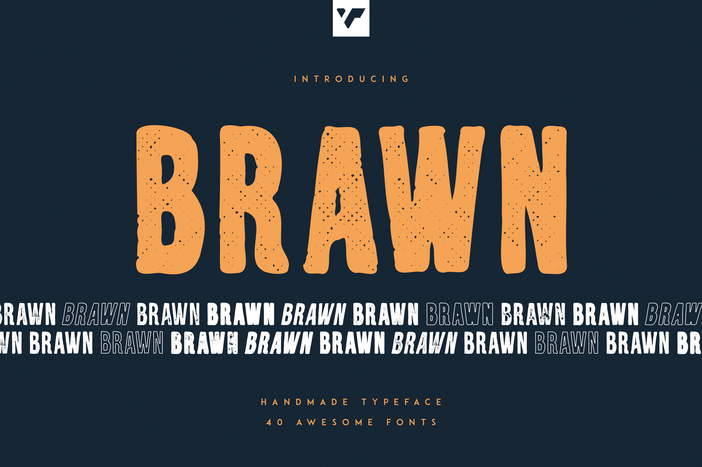 BR Omega Font Family - Download Free Font