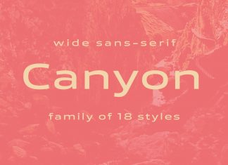 Canyon Sans Serif Font 