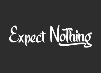 Expect Nothing Script Font
