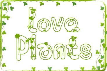 Love Plants Display Font