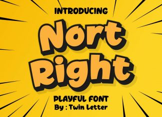Nort Right Display Font