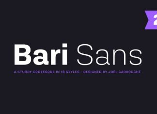 Bari Sans Font