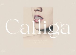 Calliga Serif Font