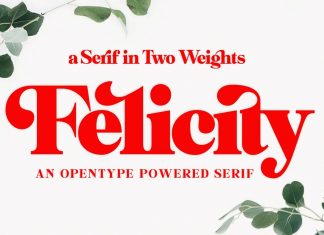 Felicity Serif Font