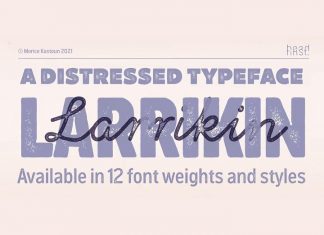 Larrikin Display Font