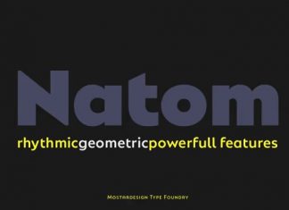 Natom Pro Sans Serif Font