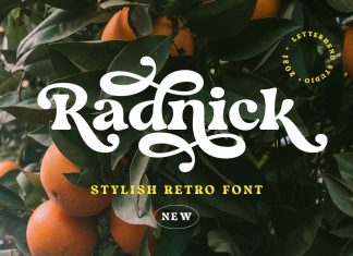Radnick Serif Font