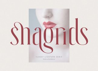 Snagrids Serif Font