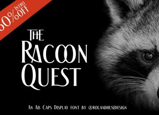 The Racoon Quest Display Font