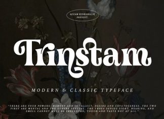 Trinstam Serif Font