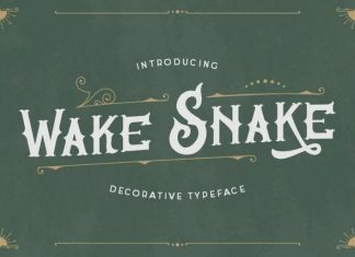 Wake Snake Display Font