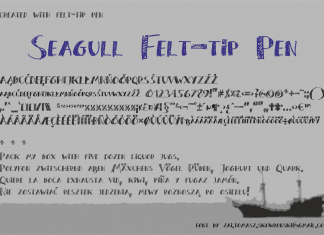 Seagull Felt-tip Pen Font