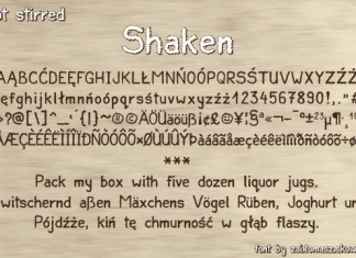 Shaken Display Font