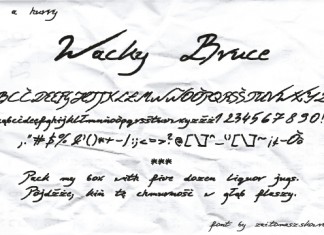 Wacky Bruce Font