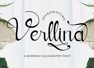 Verllina Script Font