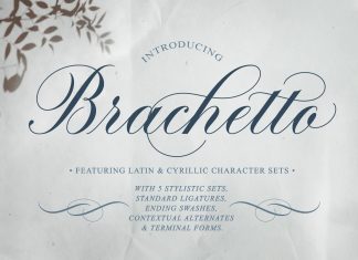Brachetto Calligraphy Font