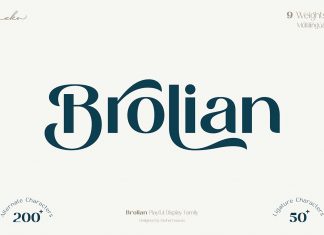 Brolian Sans Serif Font